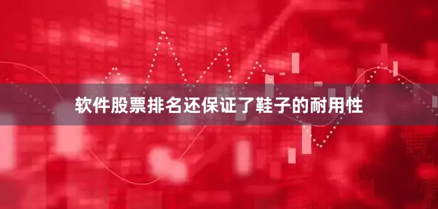 软件股票排名还保证了鞋子的耐用性