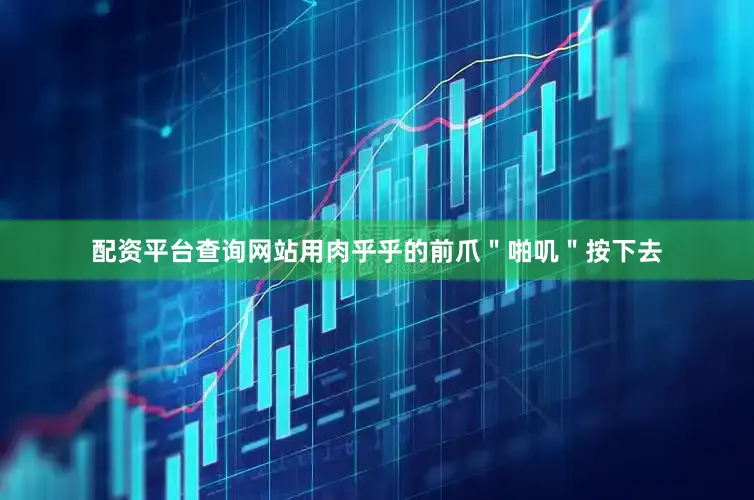 配资平台查询网站用肉乎乎的前爪＂啪叽＂按下去